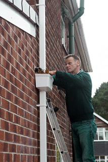 Gutter cleaning and repair